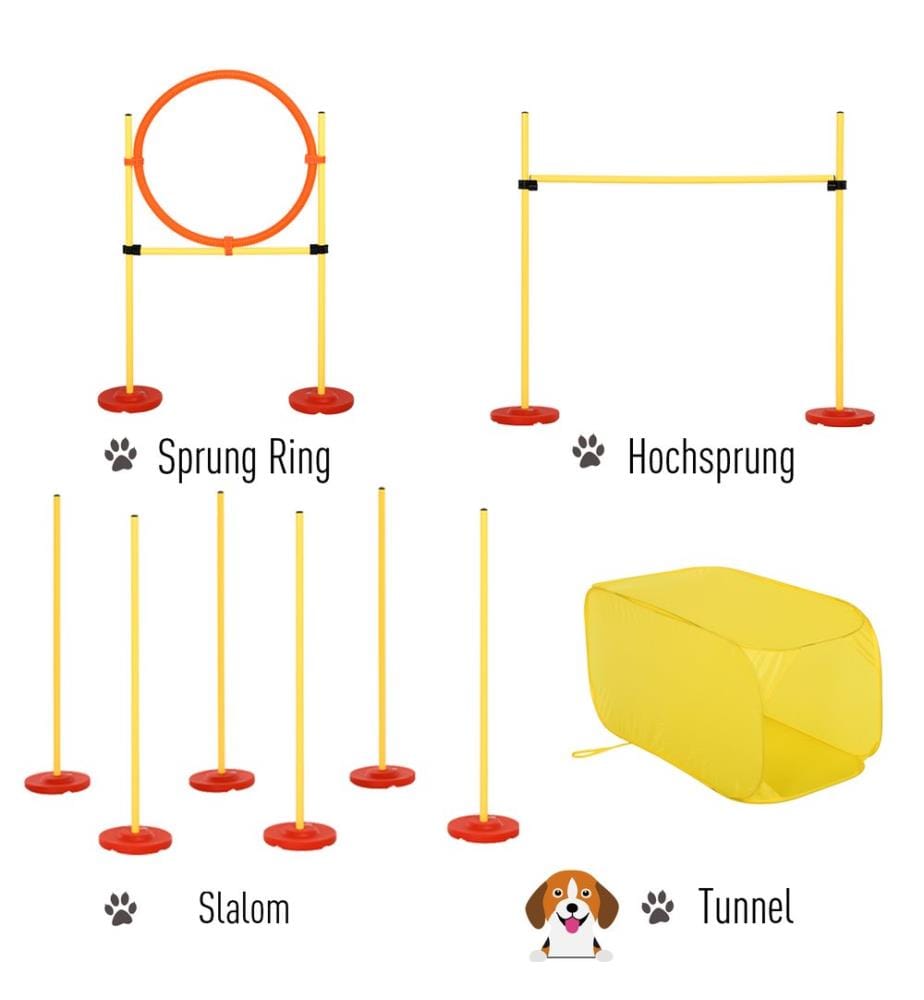 Set di ostacoli per agility con anello da slalom e tunnel