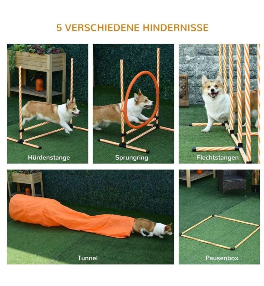 Set da agility per cani da 5 pezzi: slalom, ostacoli, tunnel, anello da salto