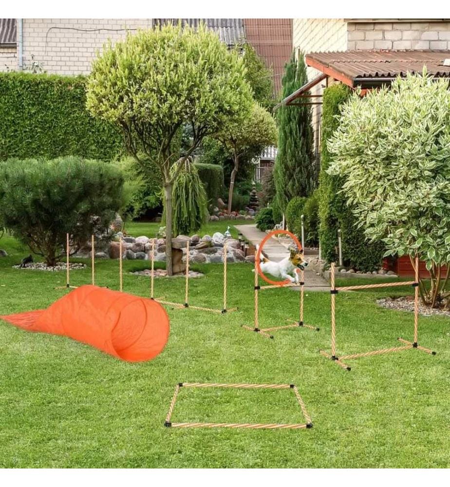 Set da agility per cani da 5 pezzi: slalom, ostacoli, tunnel, anello da salto