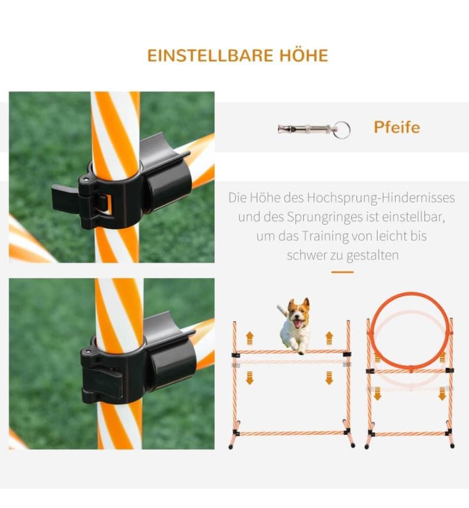 Set da agility per cani da 5 pezzi: slalom, ostacoli, tunnel, anello da salto