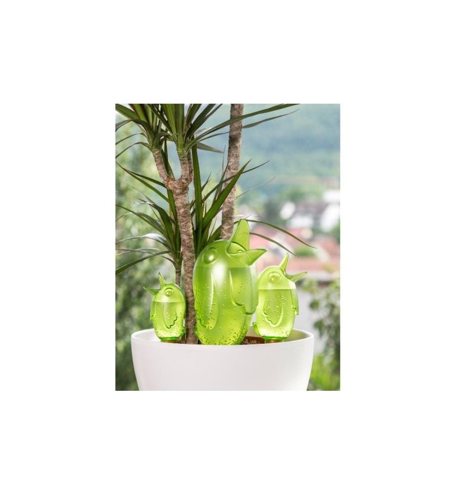 SCHEURICH - Wasserspender Bördy XL Transparent