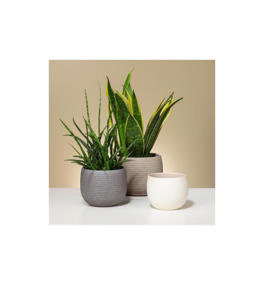 SCHEURICH - Blumentopf Taupe Ø 13.1 cm