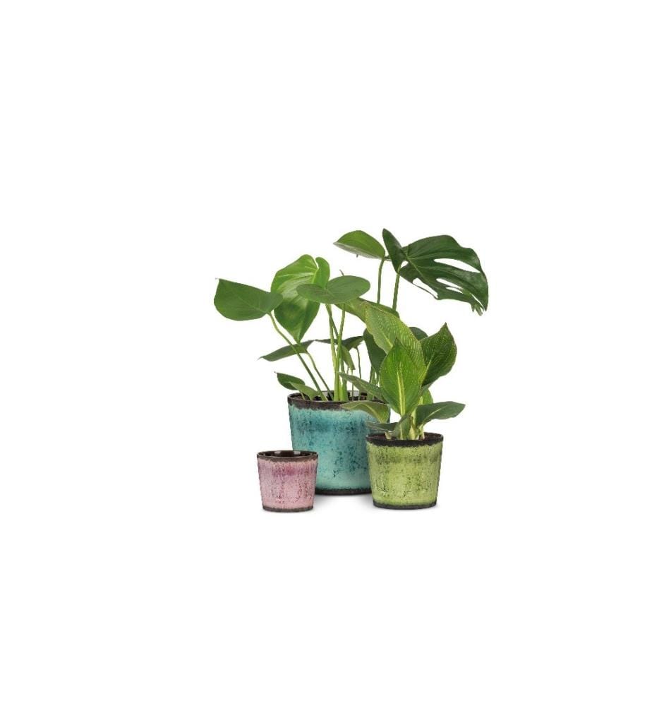 SCHEURICH - Pot de fleur Ocean Glaze Ø 17.1 cm