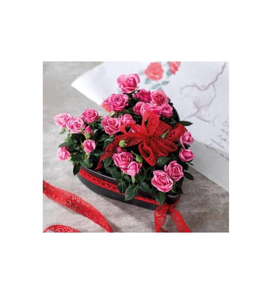 OPIFLOR - Pot de plante Sabina 24 x 25 x 7.5 cm
