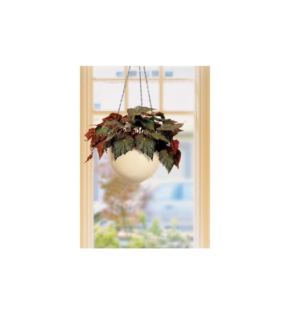 SCHEURICH - Blumenampel Crème Ø 17.1 cm
