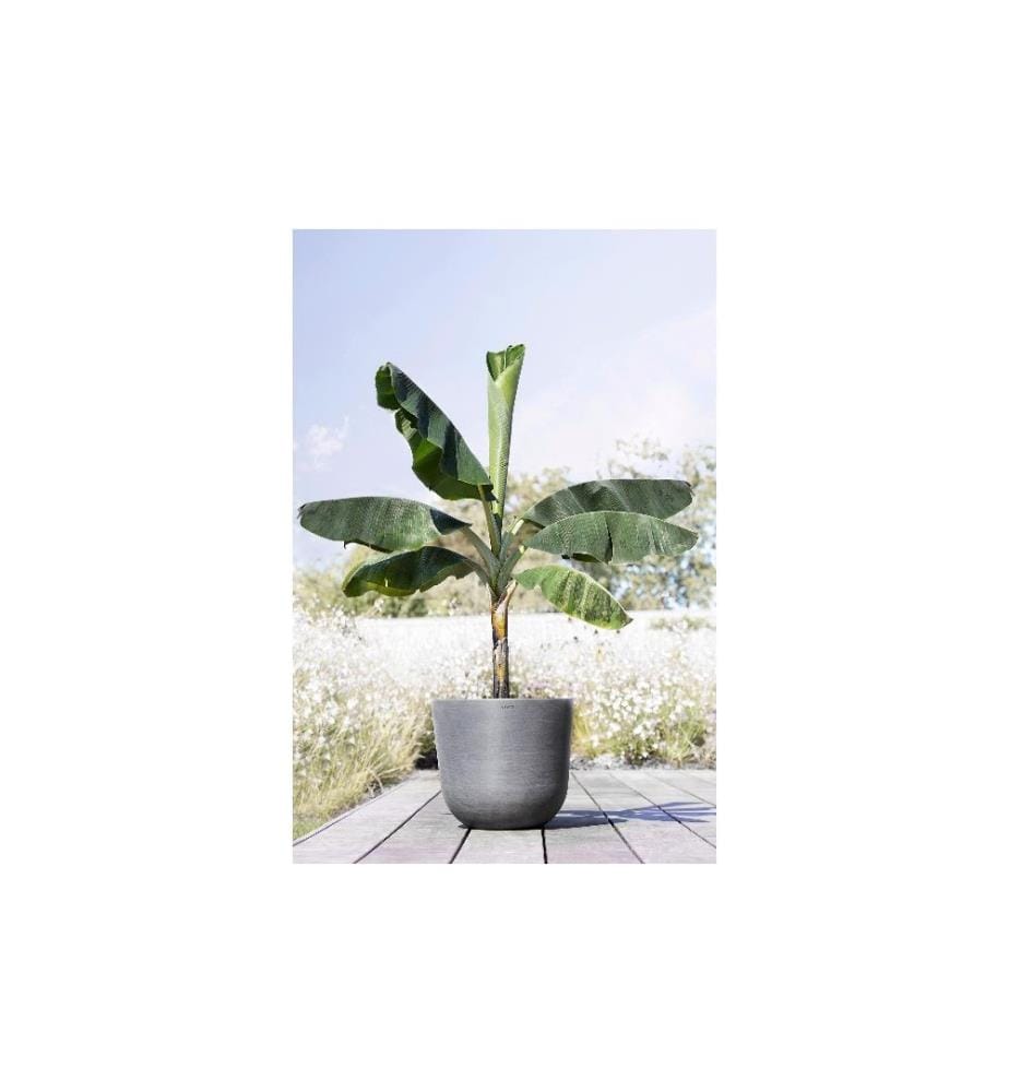ECOPOTS - Pot à fleur Oslo 45 Gris