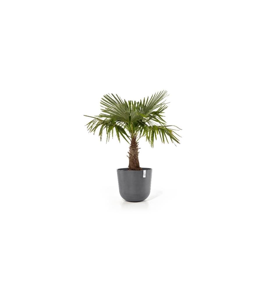 ECOPOTS - Pot à fleur Oslo 55 Gris