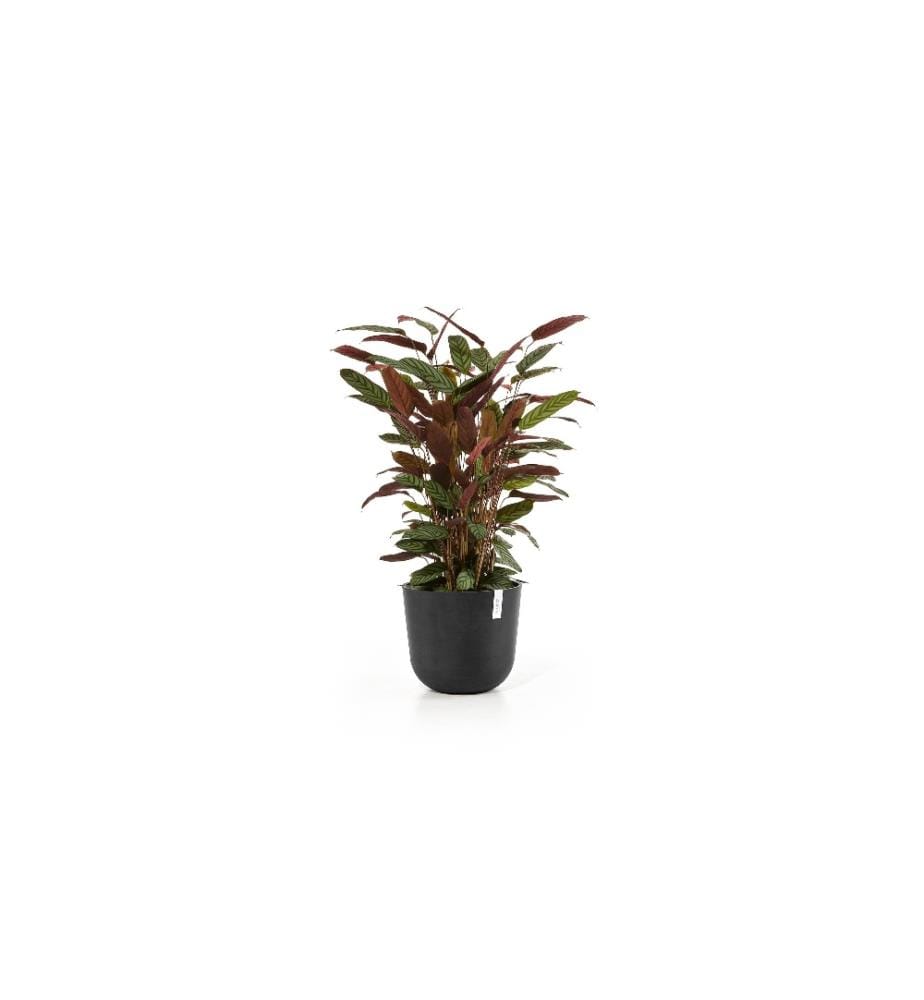 ECOPOTS - Pflanzentopf Oslo 45 Dunkelgrau