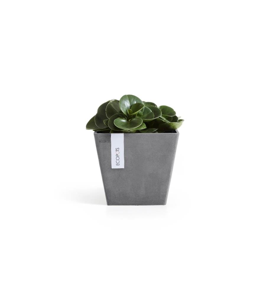 ECOPOTS - Pot à fleur Rotterdam 20 Gris