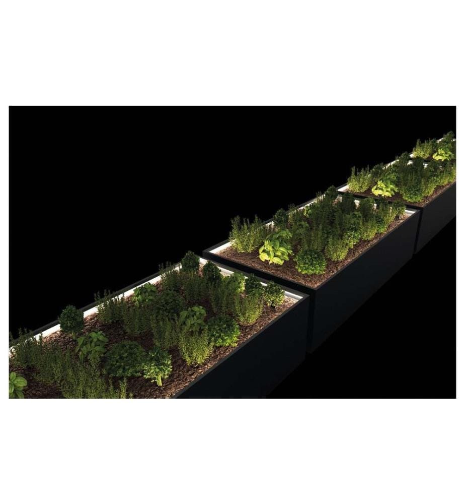 HERSTERA - Bac à fleurs Metal Planter Edge 50, 150x100x50 cm, anthracite
