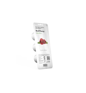 CLICK AND GROW - Semence Pensée rouge Paquet de 3