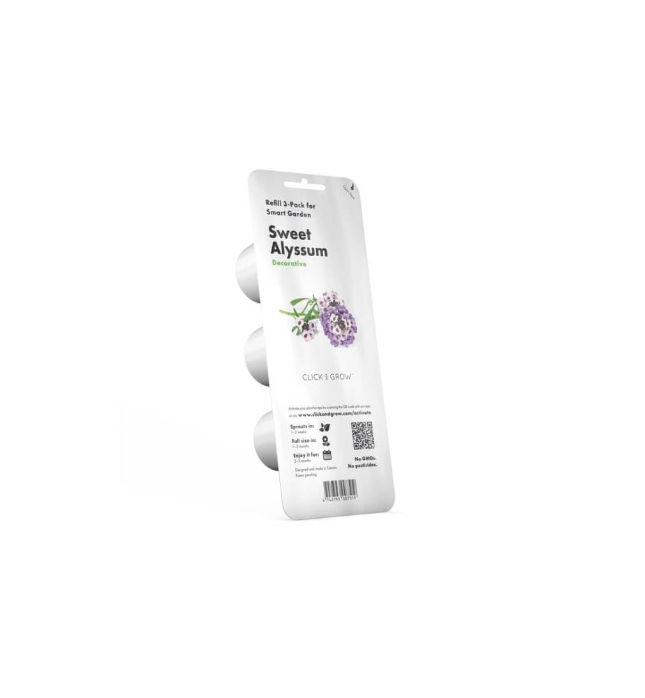 CLICK AND GROW - Saatgut Strand-Silberkraut 3er-Pack