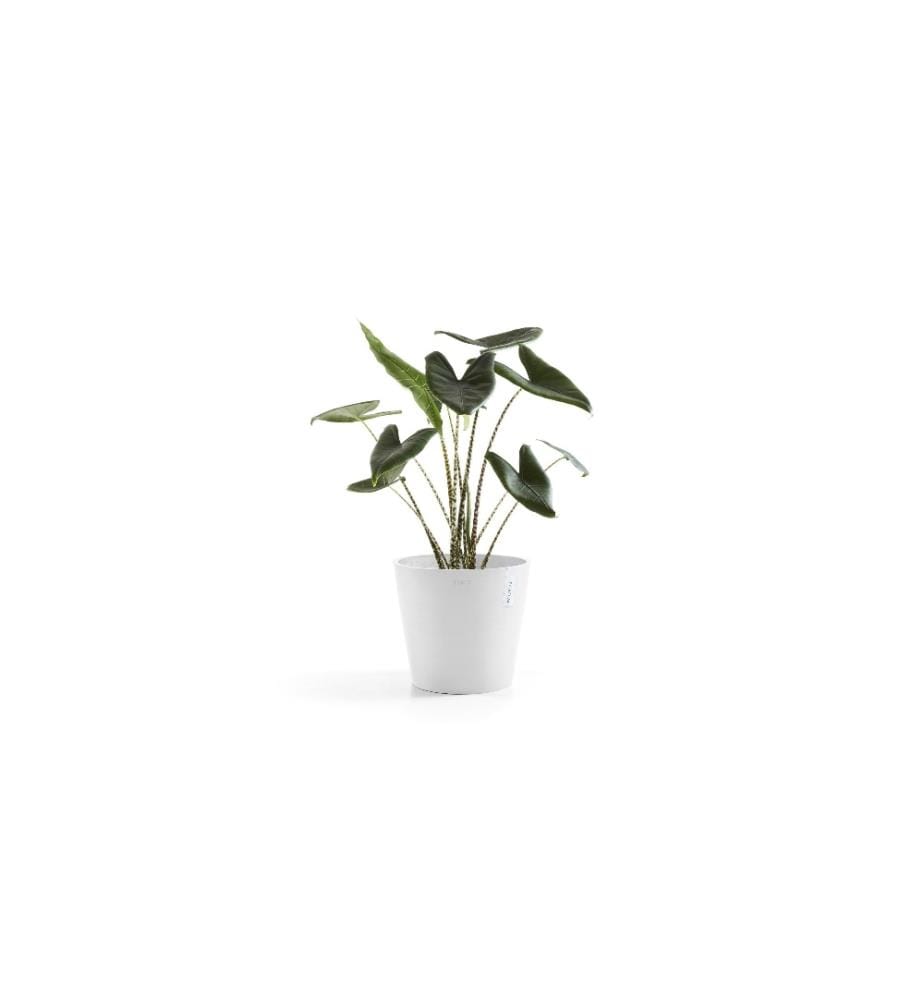 ECOPOTS - Pot à fleur Amsterdam 30, Blanc