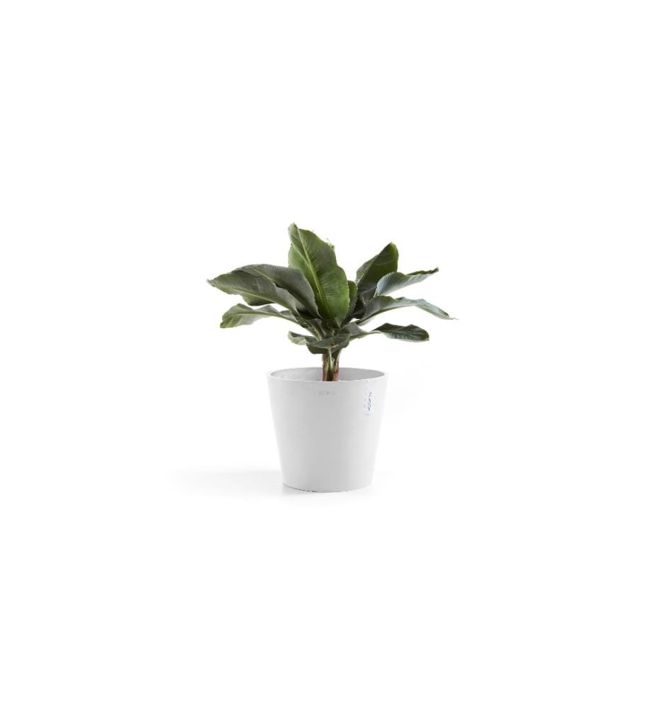 ECOPOTS - Pot à fleur Amsterdam 40, Blanc