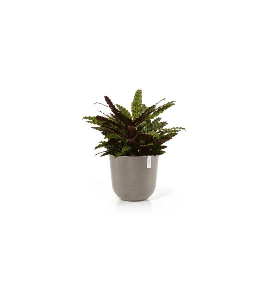 ECOPOTS - Pot à fleur Oslo 45, French Taupe