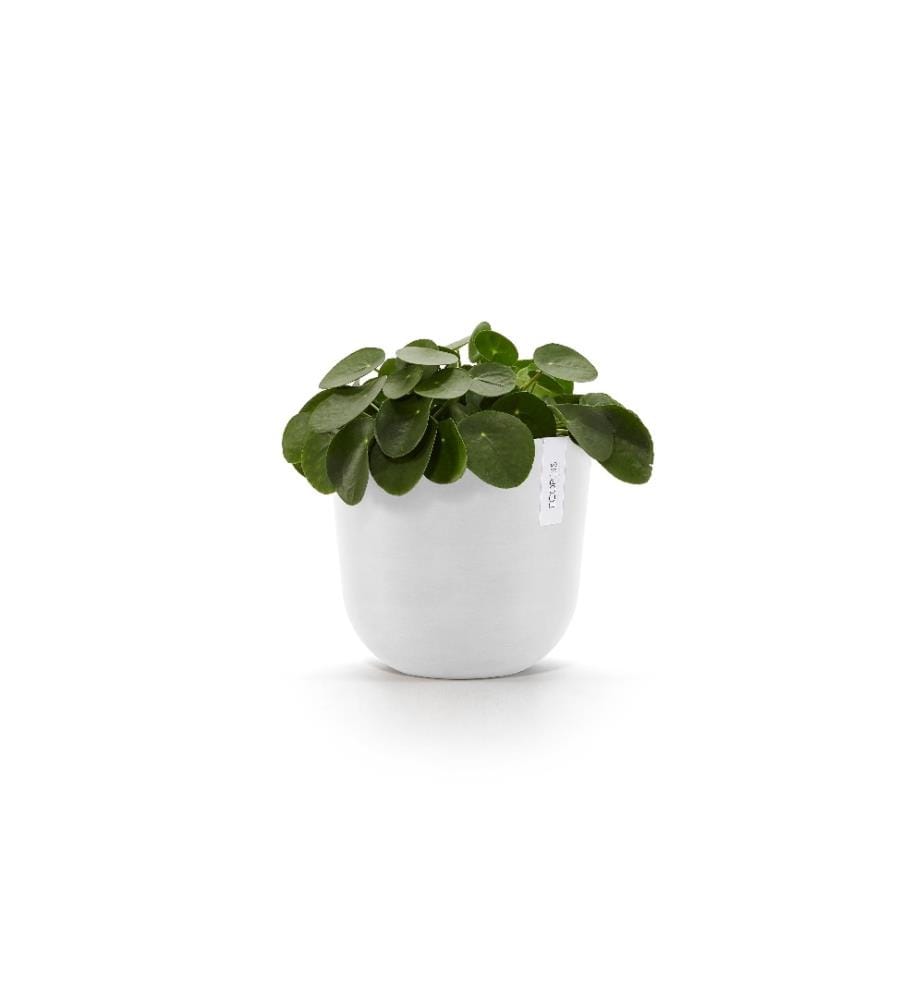 ECOPOTS - Pot à fleur Oslo 25, Blanc
