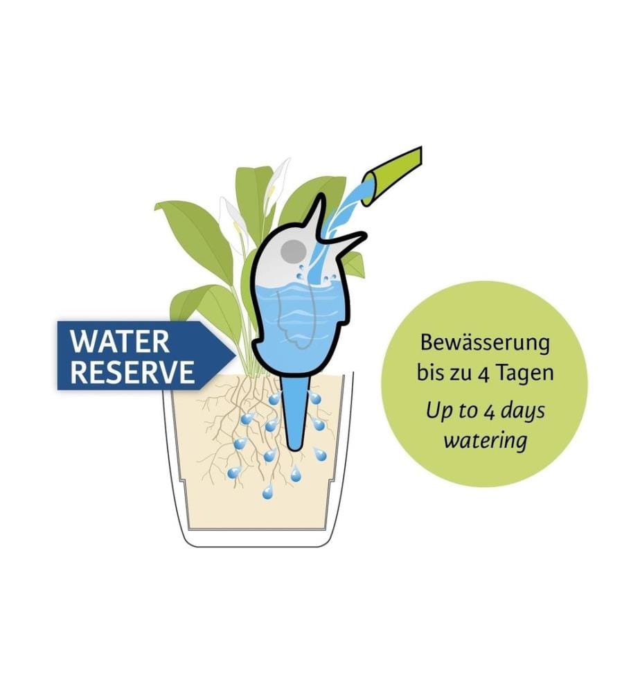 SCHEURICH - Wasserspender Bördy M Blau