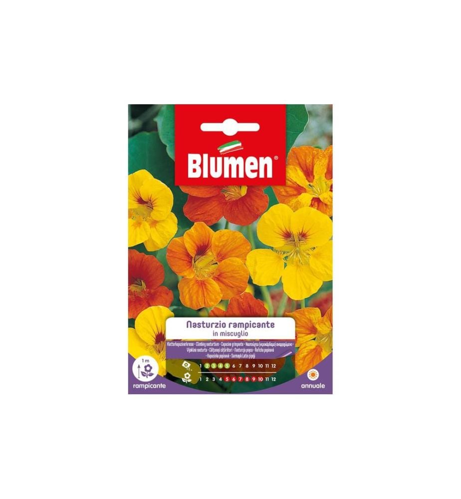 BLUMEN - Semence Capucine grimpante Mix