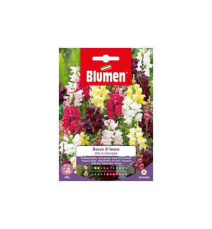 BLUMEN - Semence Mélange de gueules-de-loup géantes