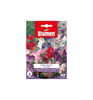 BLUMEN - Semence Vesce de jardin Mix