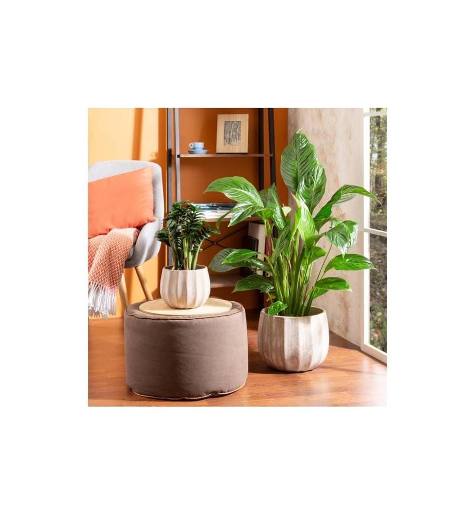SCHEURICH - Pot de fleur Runa 4.2 l, Crème