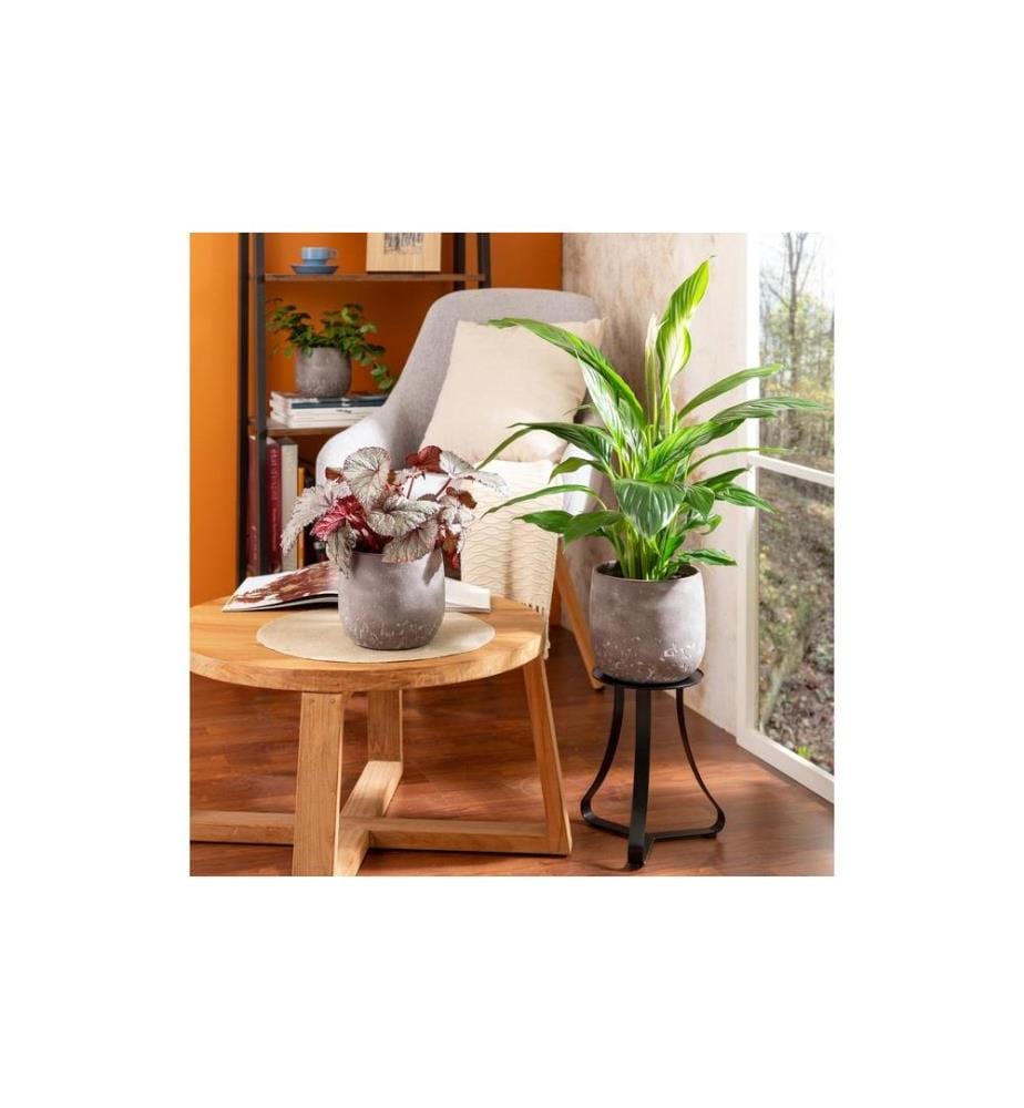 SCHEURICH - Blumentopf Dune 6.1 l, Braun