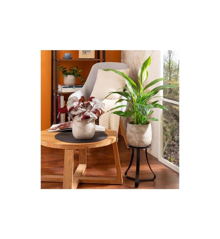 SCHEURICH - Blumentopf Dune 1.9 l, Crème