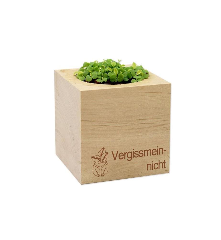 Feel Green - Ecocube Myosotis
