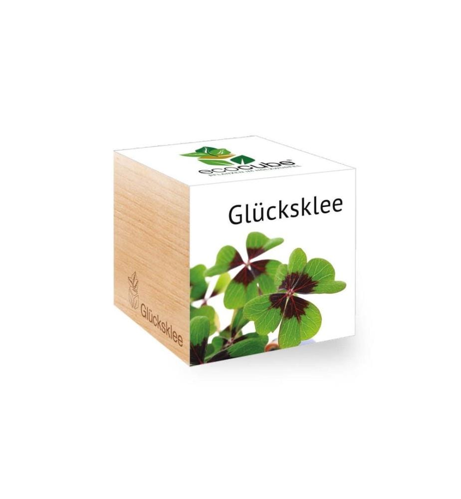 Feel Green - Ecocube Trèfle à quatre feuilles
