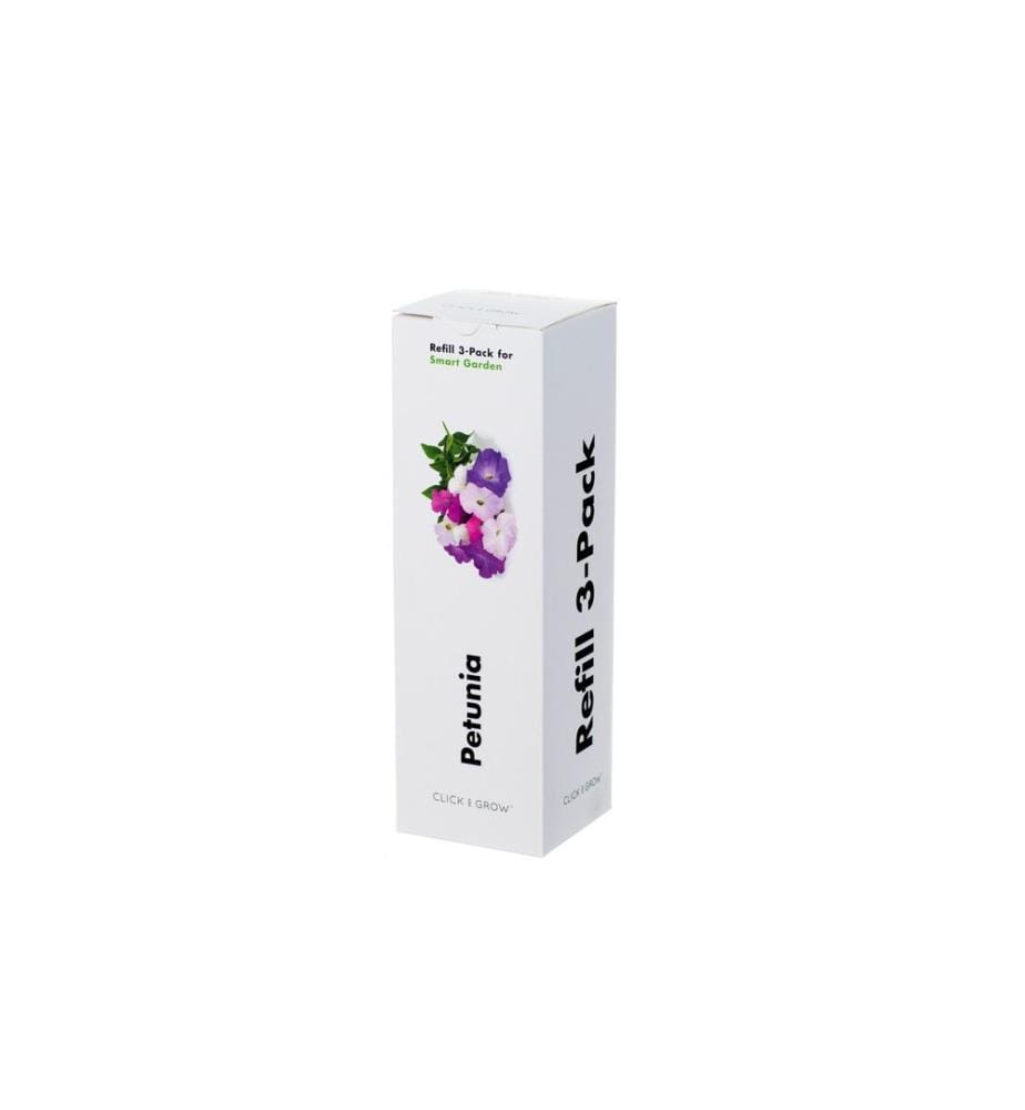 CLICK AND GROW - Semence pétunia
