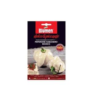 BLUMEN - Semence Paprika Habanero Bianco