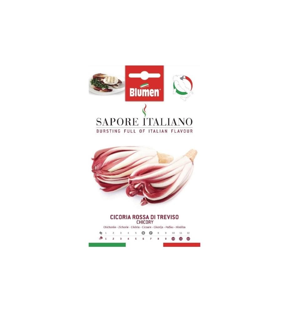 BLUMEN - Samen Zichorie Rossa di Treviso
