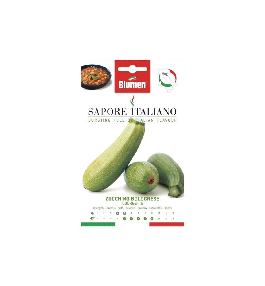 BLUMEN - Semence courgette bolognaise
