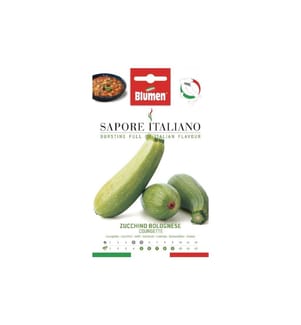 BLUMEN - Semence courgette bolognaise