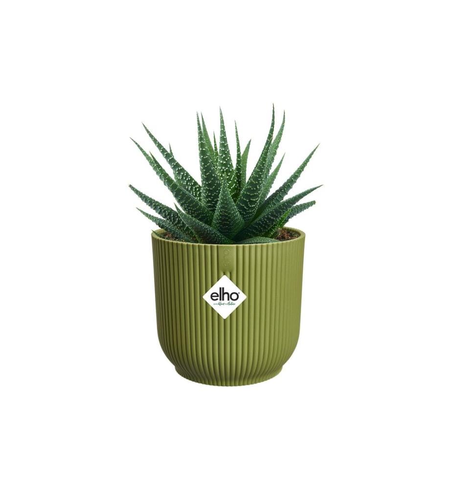 Elho - Blumentopf Vibes Fold mini 0.5 l, Ferngrün