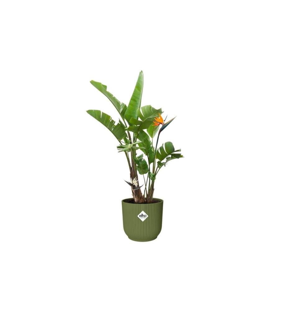 Elho - Blumentopf Vibes Fold Rund 30 cm Grün