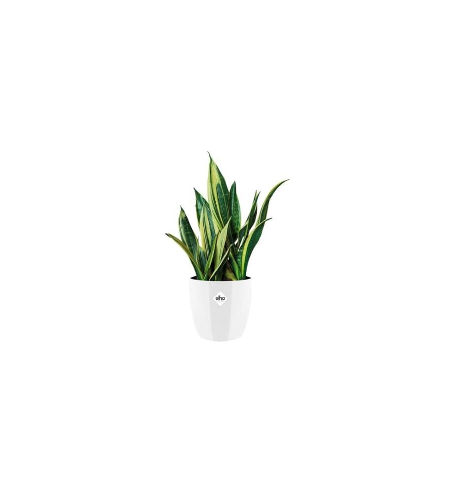 Elho - Pot de fleur Brussels Diamond rond 3.3 l, Blanc