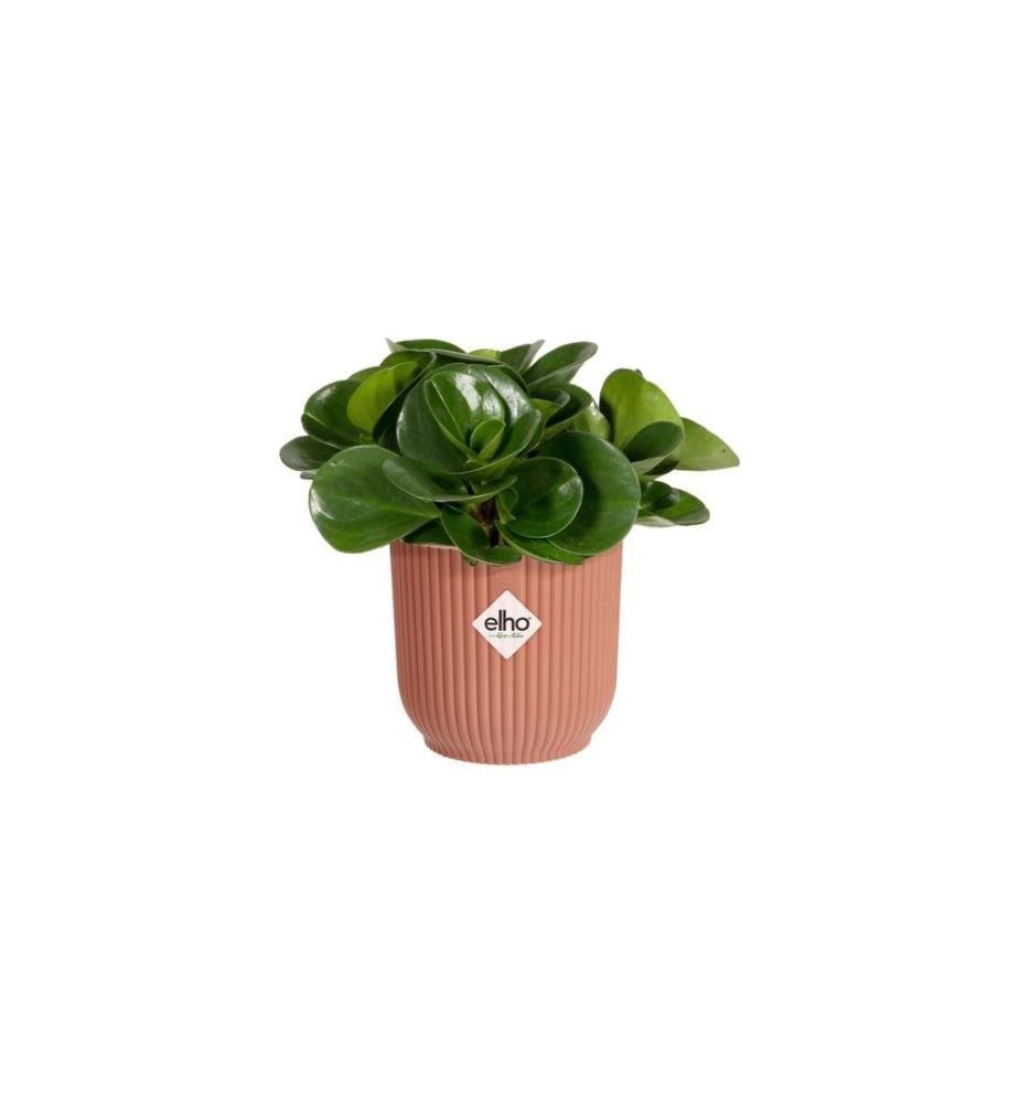 Elho - Blumentopf Vibes Fold mini 0.2 l, Zartrosa