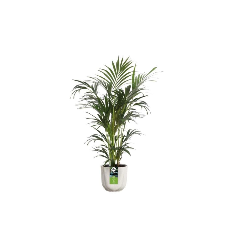 Elho - Blumentopf All-in-1 Vibes Rund 18 + Swi 17 Weiss