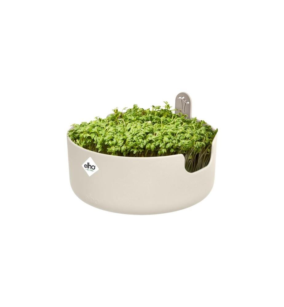 Elho - Kräutertopf Magic Microgreens 17 cm Weiss