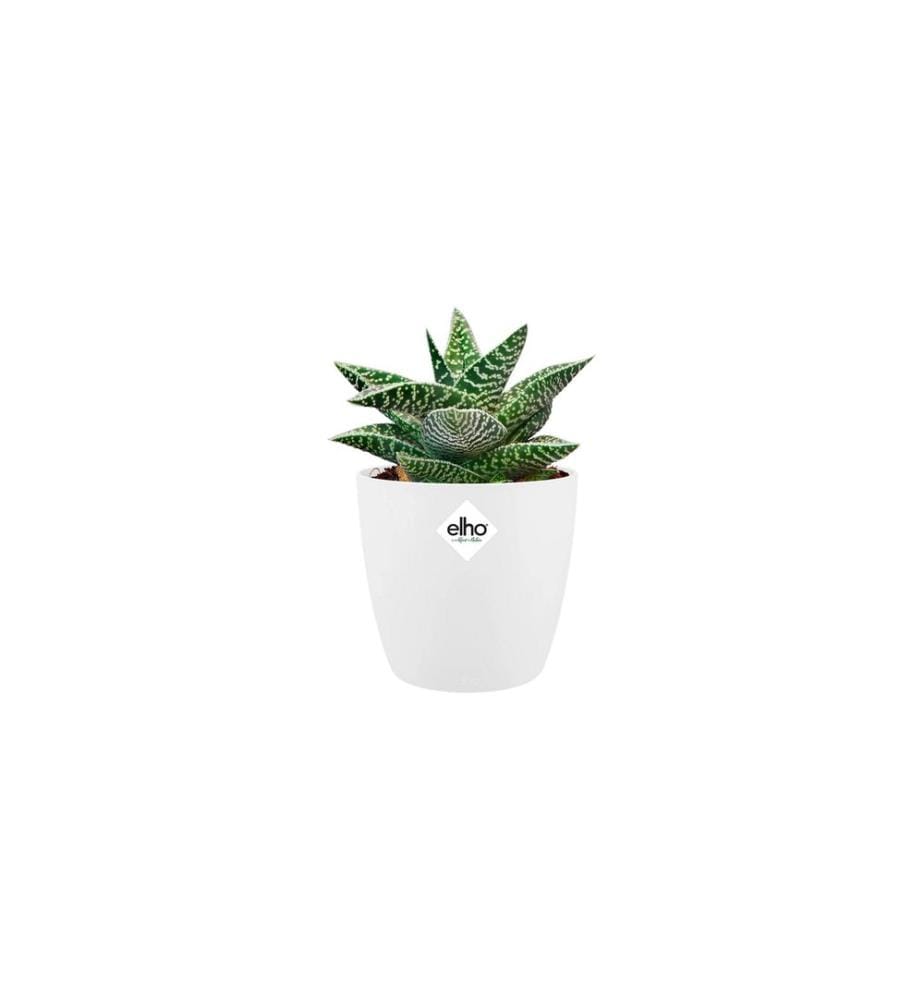 Elho - Pot de fleur Brussels mini, rond, 1.2 l, blanc