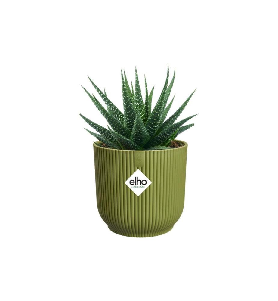 Elho - Blumentopf Vibes Fold mini 0.8 l, Ferngrün
