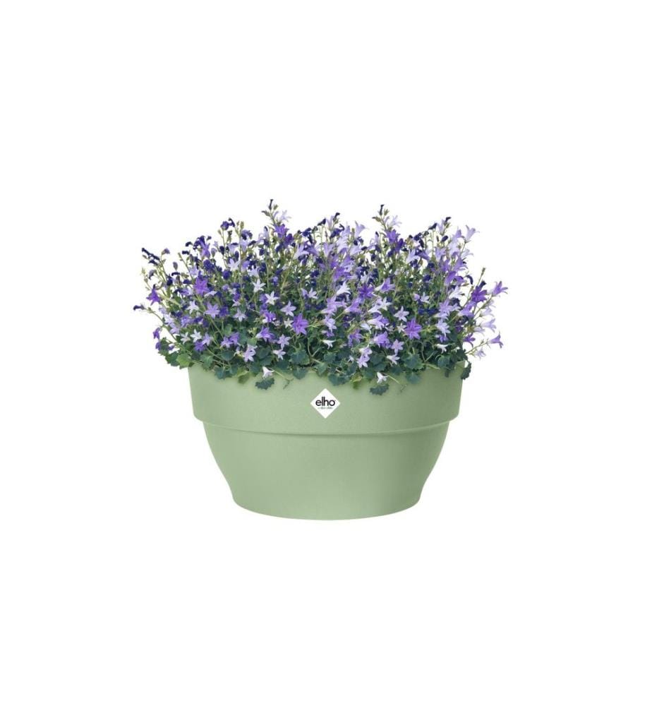 Elho - Pot à fleur Vibia Campana Coupe 34 cm Vert