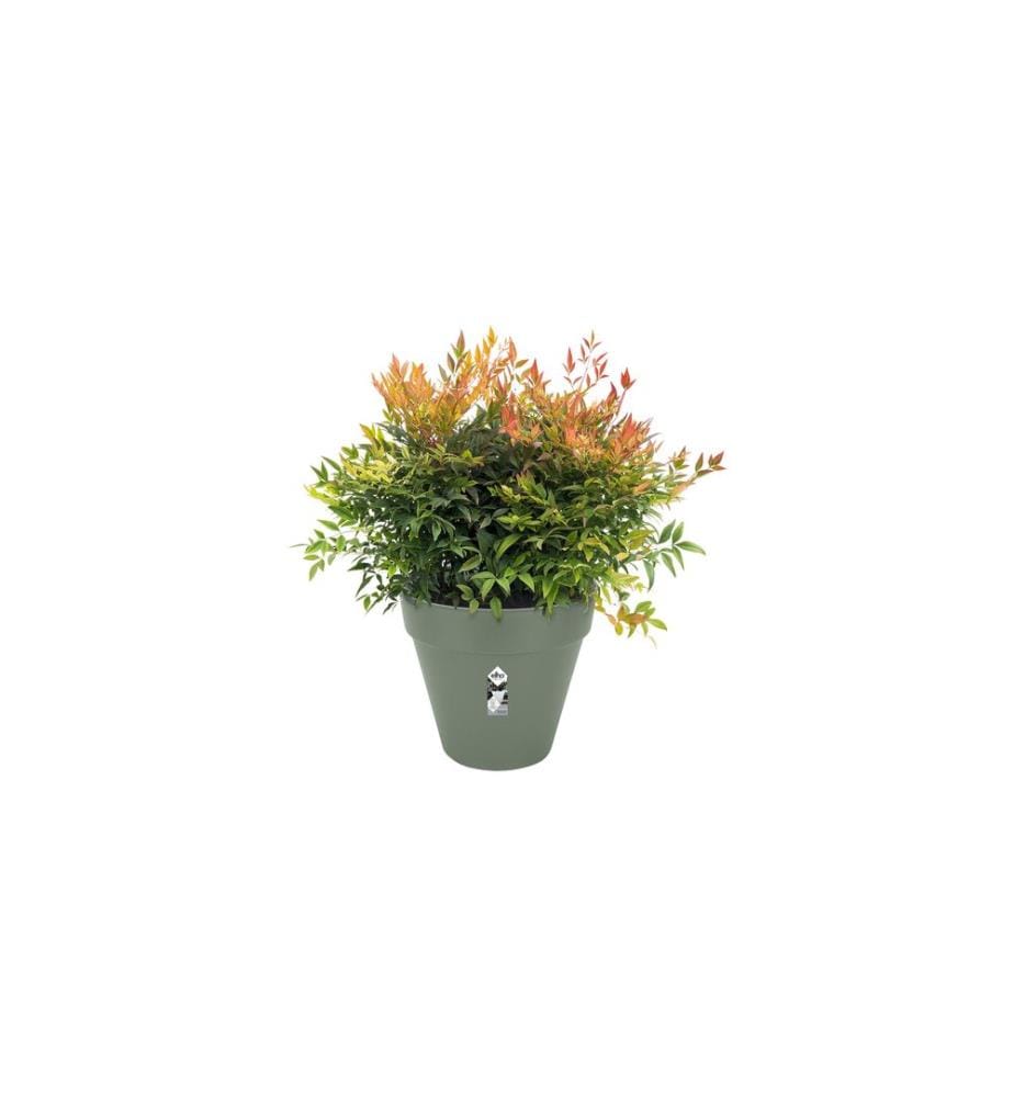 Elho - Pflanzentopf Loft Urban Rund Rollen 50 cm Grün