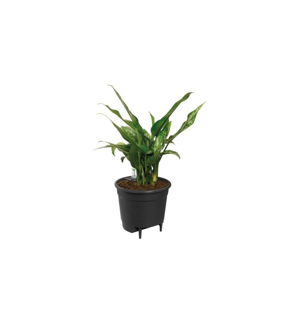 Elho - Selbstbewässerungssystem 36 cm