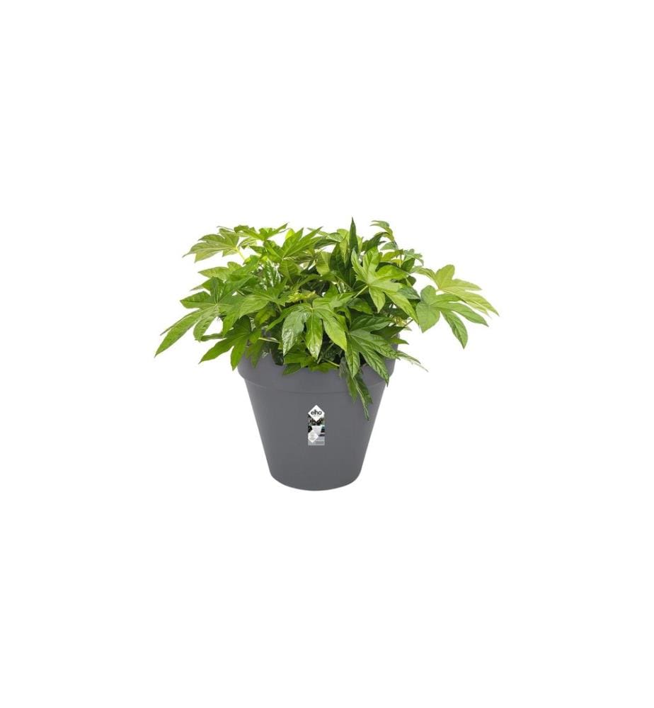 Elho - Pflanzentopf Loft Urban Rund Rollen 50 cm Schwarz