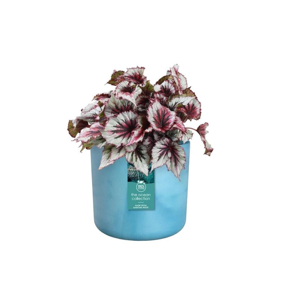 Elho - Blumentopf The Ocean 6.9 l, Atlantikblau