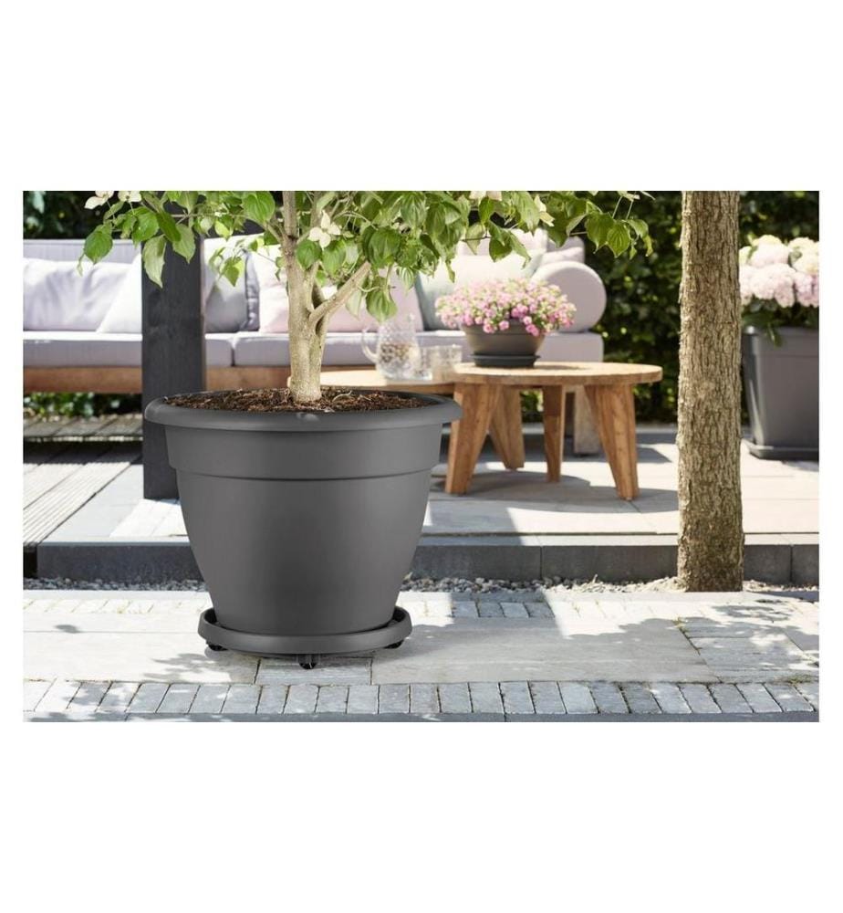 Elho - Rolleruntersetzer Universal Planttaxi 30 cm Schwarz