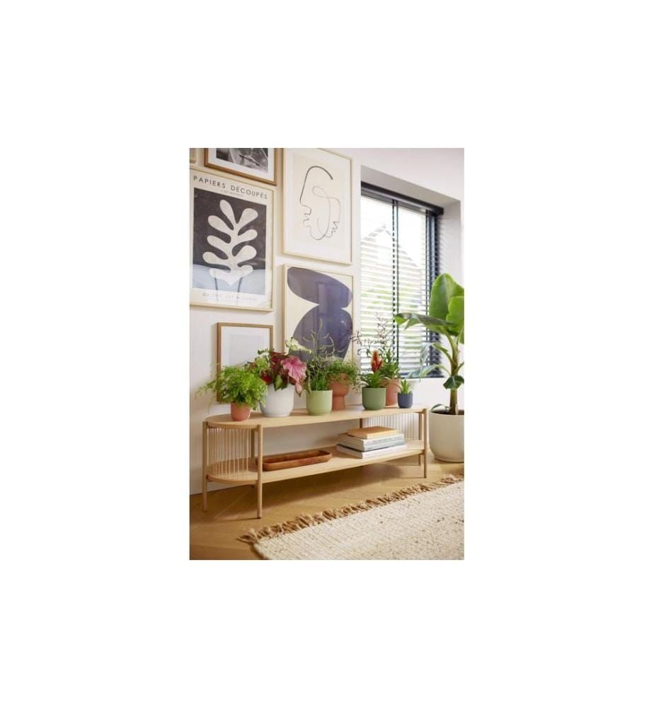 Elho - Blumentopf Vibes Fold Rund 30 cm Schwarz