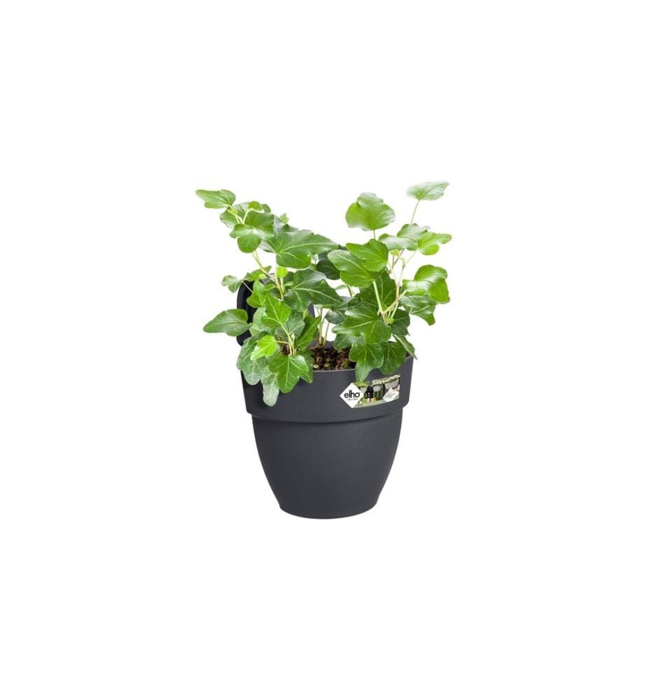 Elho - Pot à fleur Vibia Campana Easy Suspension Petit Noir